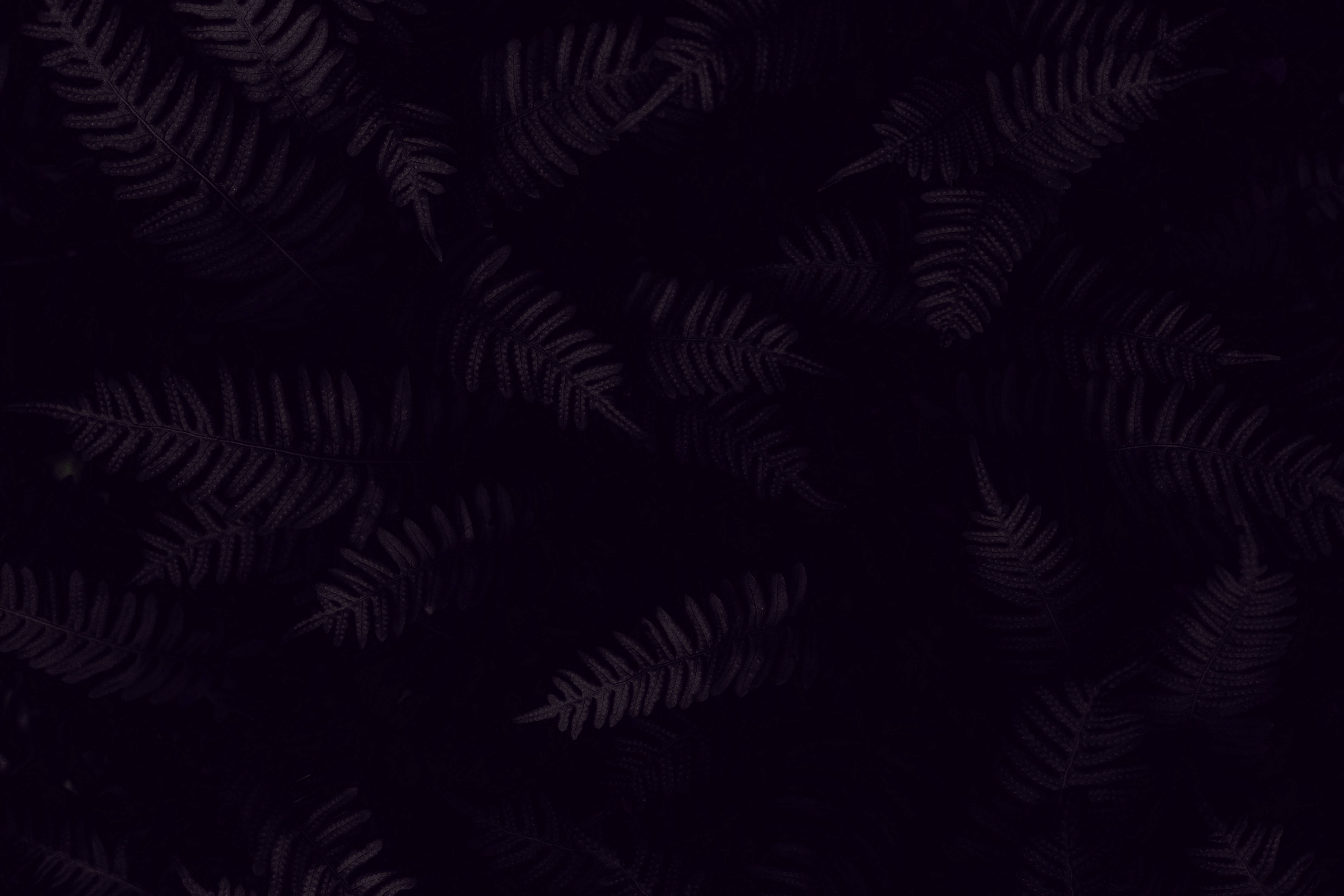 lEAP qUEST old ahh gameplay i found on my flash drive🥀🥀 thumbnail